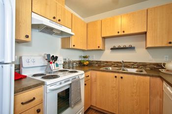 Equipped kitchens with efficient appliances